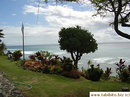 The ocean.  Somehow the tree became the focal point which is not my intention