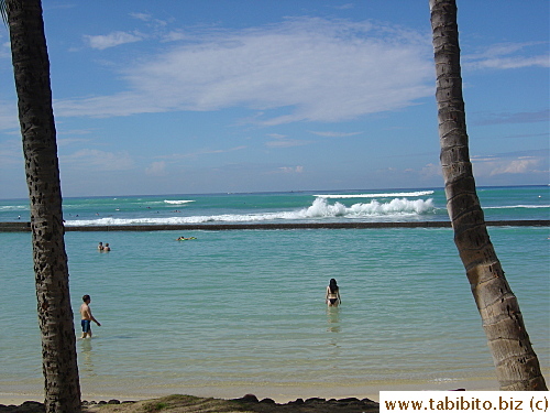 Typical Hawaiian scene: blue water beach, palm trees, bikini-clad women