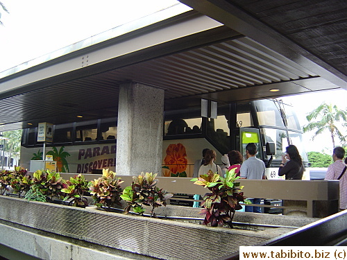 This bus took us from the airport to our travel agency's office in the dutyfree shop in Waikiki