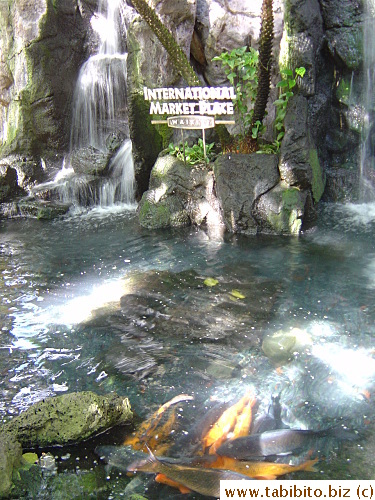 A koi pond and fake waterfall inside International Market Place where there are endless shops and hawkers selling Hawaiian shirts, souvenirs etc
