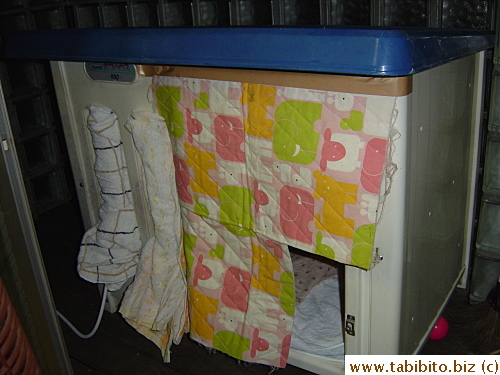 I used Mrs Y's towels to plug the slits in the door and taped some old fabric on the doorway to keep the freezing wind off