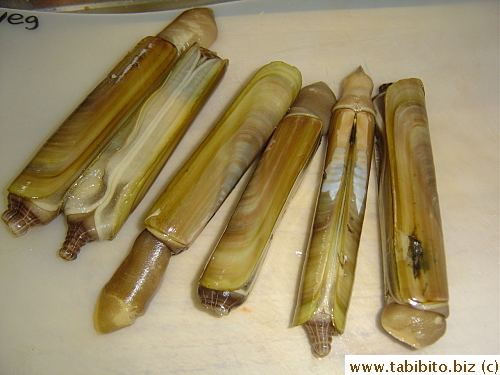 Large razor clams