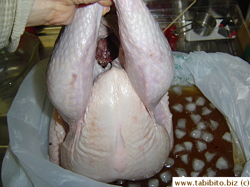 The turkey goes into the brining liquid