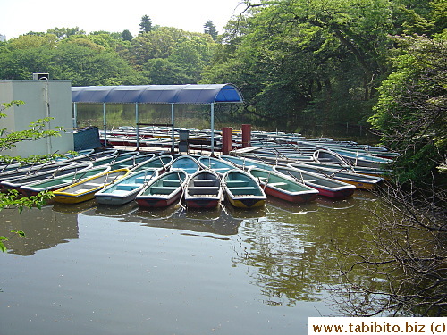 Row boats for hire