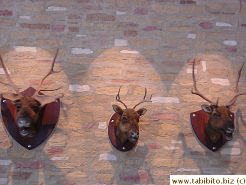 A trio of fake deer heads on the wall that moves and sings when a certain tune comes on.  Very cheesy