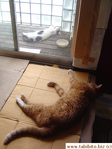 Another similar pose