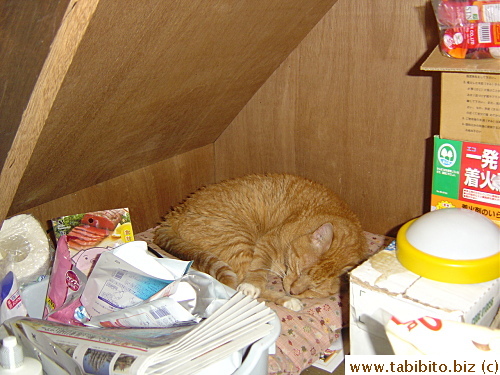 He sleeps there for hours