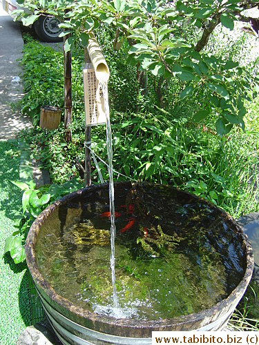 There's cold mountain water in front for us and the fishies