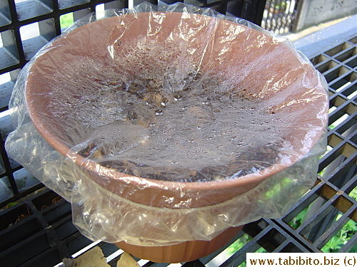 Covering the pot with a shower cap keeps the air moist and warm inside which encourages fast and successful germination
