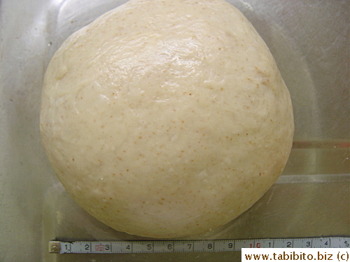 Knead lightly on a board for maybe 5 seconds to smooth out the rough edges and form a round ball, then leave in an oiled bowl, cover with wrap.  My dough was 12cm at this stage