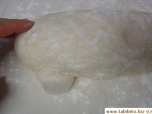 Turn the dough out, punch out lightly, and roll into a log