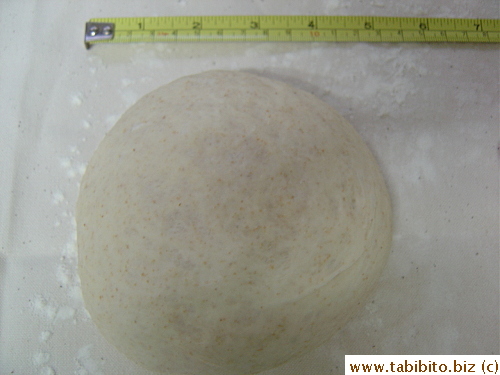 After 10 min, it grew to 13cm in diameter 