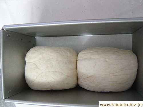 Put the dough into the oiled bread tin