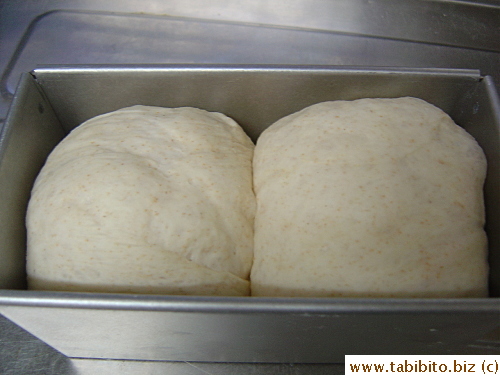 Till they double in size, about 35 min