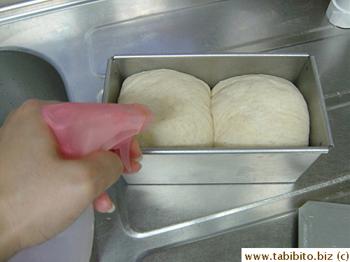 Mine didn't get big enough to fill the tin...sigh.  Anyway, spray water and put lid on just before baking in a preheated 190C oven for 25 min