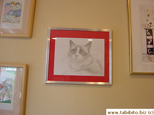 The beautiful drawing has found a permanent place in the clinic