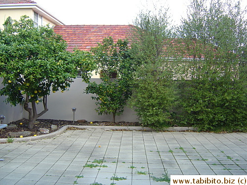 Backyard has been paved