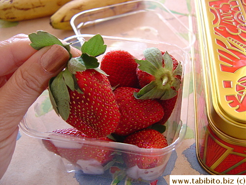 Large Australian strawberries, I found 4 punnets in the fridge!