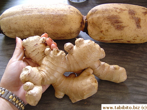 I've never seen such big ginger root in Tokyo (or the lotus root in the back)