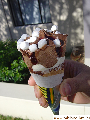 Peter ate this ice cream during the walk to Bald Face Point Reserve