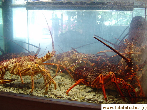 It has some tanks with lobsters