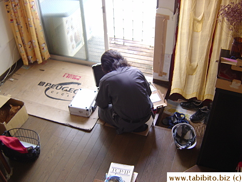 Doing stuff (note how Daifoo sleeps unfazed in his box)