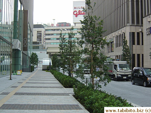 Newly paved street and plants