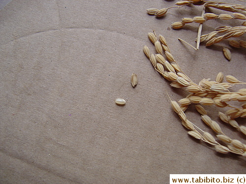 This rice with the outer cover is called genmai in Japanese