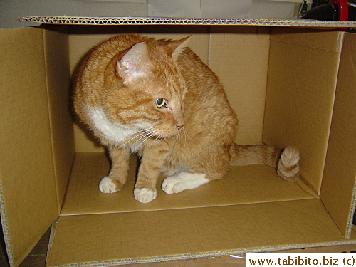 The best way he figures is to knock the box on its side (he really did do it himself)