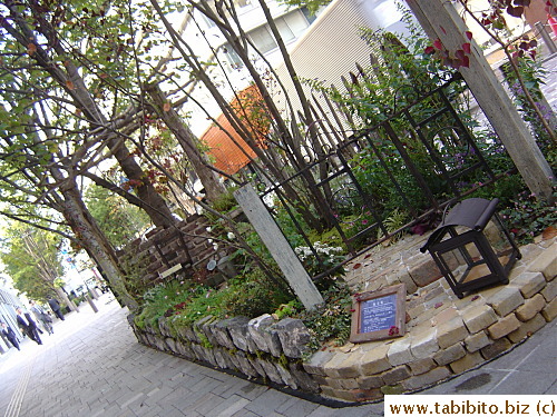 Garden display