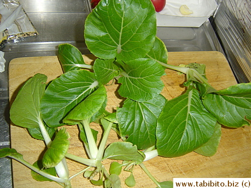 Cut six stalks for dinner