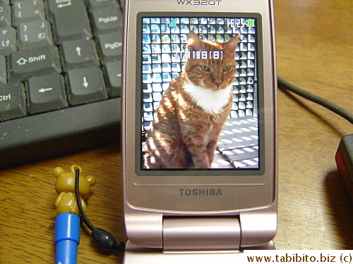 He even transferred the phone strap for me, hehe