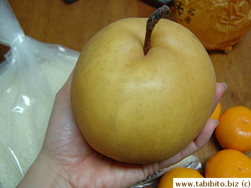 This nashi from Niigate is absolutely huge