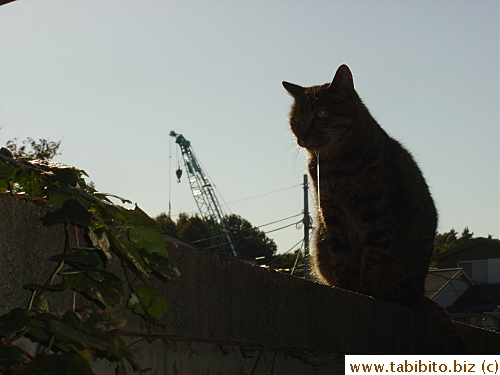 The snot is terrible