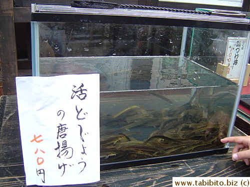 Saw this tank outside a restaurant.  Deep-fried fresh baby eels, $7.8 an order