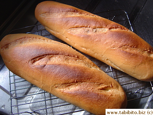 Or you can use the dough to make 2 baguette-esque loaves, still yummy