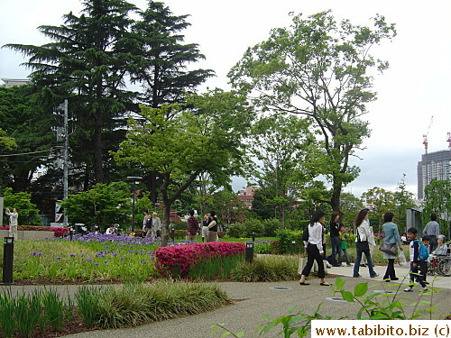 Another shot of the garden