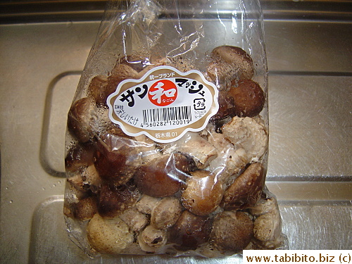 Cute baby shiitake mushrooms