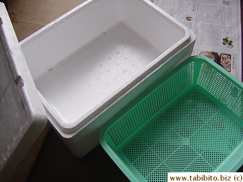Styrofoam box: found in a trash collection point, colander: a buck from 100-yen shop