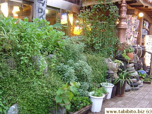 A lush garden in front of the restaurant