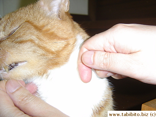 This is not as painful as it looks