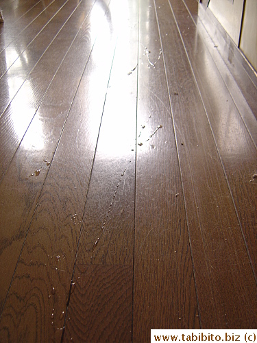 Daifoo constantly leaves the floor wet