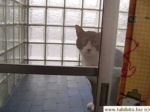 Almost symmetrical face