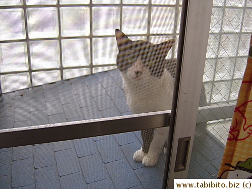 I think he's good looking