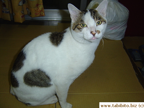 Sacca always wants food