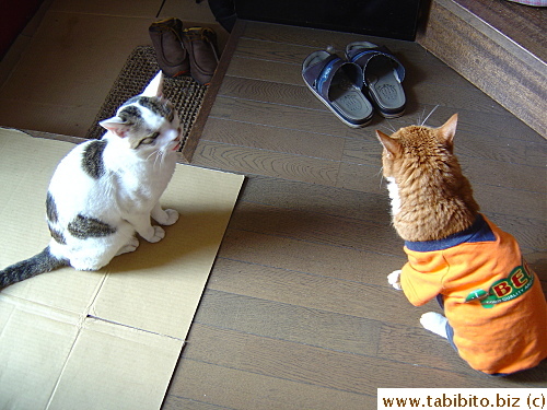 Discussing fashion no doubt