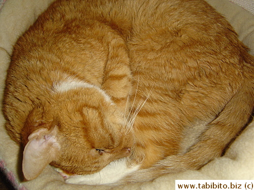 Deep sleep