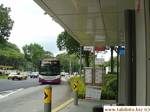 We took a bus from this stop near the Gardens gates to Raffles Hotel (Number 75 or Number 106 will get you there)