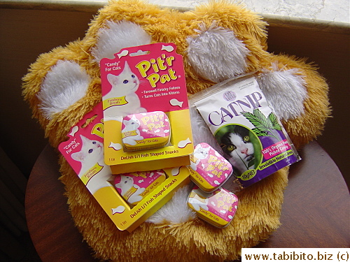 Gifts for Daifoo! The paw cushion only cost S$5 from Chinatown