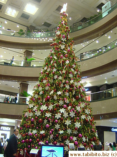 Takashimaya has the largest Christmas tree in Singapore, about 4-story high